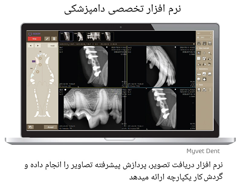 نرم افزار EzDent ویژه سنسور داخل دهانی دامپزشکی